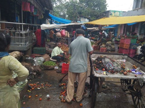 मच्छरों पर कसेगा शिकंजा, डेंगू-मलेरिया रोकथाम हेतु घर-घर पहुंचा निगम का स्वास्थ्य अमला