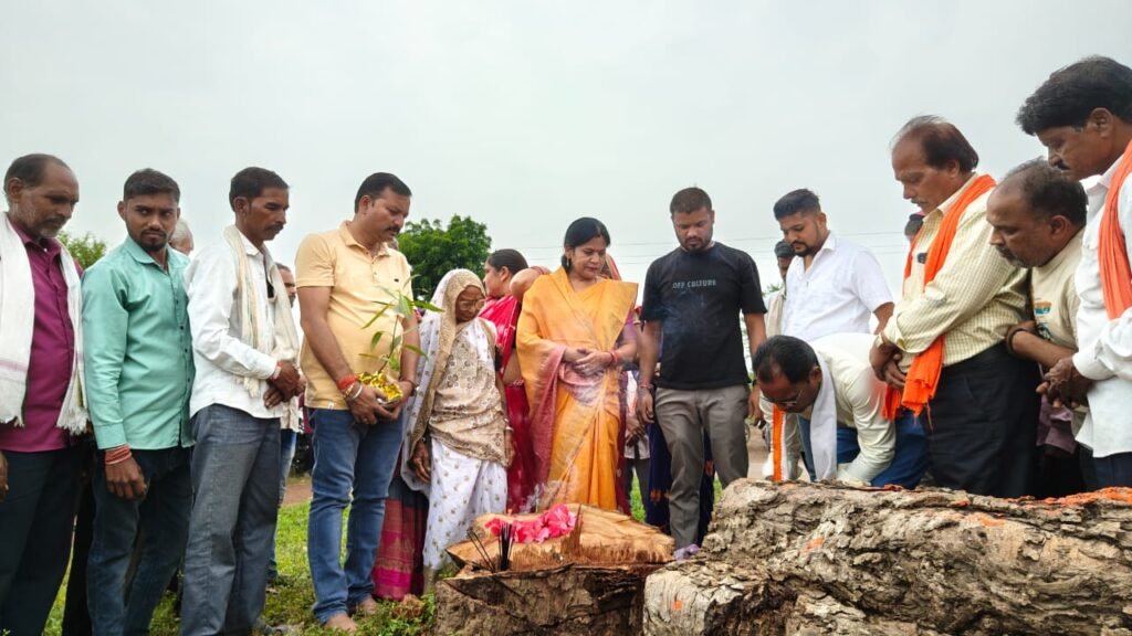 कटे हुए पीपल की स्मृति में बनेगा हनुमान मंदिर, विधायक यशोदा वर्मा ने की तीन लाख की घोषणा