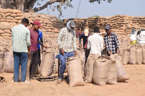 धान खरीदी अभियान से किसानों में हर्ष, जिले में अब तक 582 करोड़ मूल्य का धान खरीदा