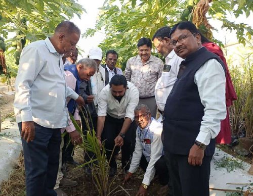 तेल पाम की खेती से बढ़ेगी किसानों की आय : डोंगरगढ़ में प्रशिक्षण, 17,269 रुपए प्रति हेक्टेयर अनुदान