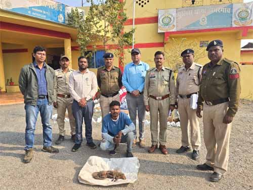 शिवनाथ नदी पुल पर वन्य प्राणी का शिकार : आरोपी गिरफ्तार, भेजा गया जेल