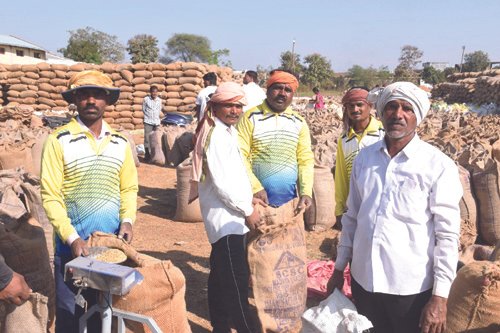 राजनांदगांव में धान खरीदी अभियान में किसानों की खुशी, अब तक 1294 करोड़ की धान खरीदी